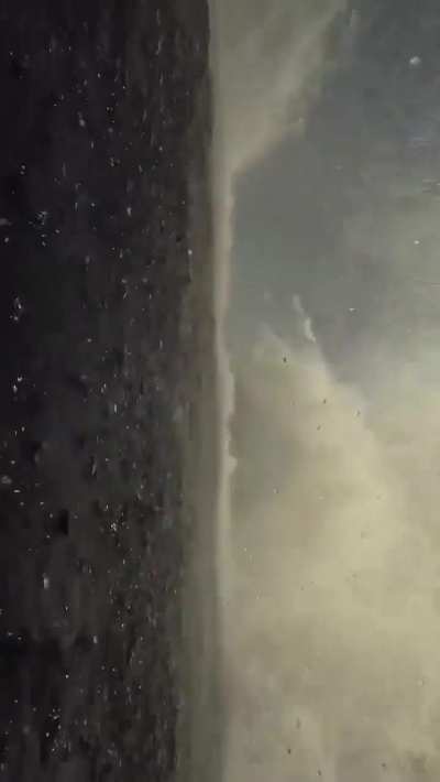 Whale breach filmed up close