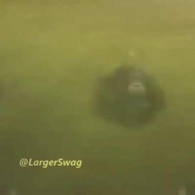 exploring the underwater world