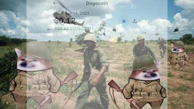 Any Veteran Shibes care to tell us new recruits the tale of “The Great Spike of May 7th 2021”