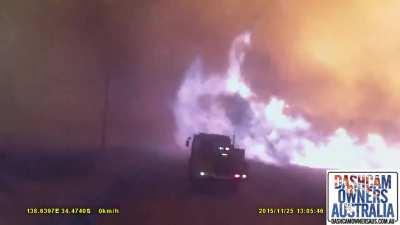🔥 The sheer speed and intesity of a Bushfire.