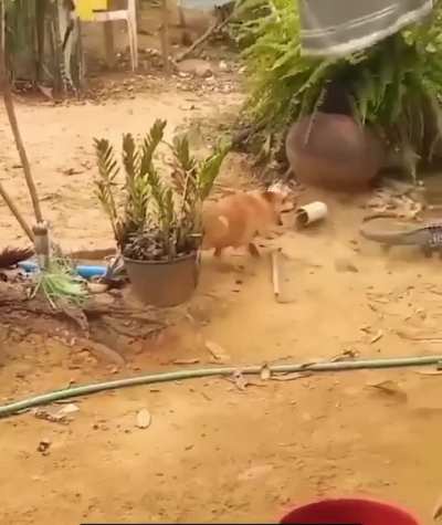 Têm dias que tudo que você queria era ficar de boa...