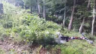 Just finished programming my drone to identify the IRS agents (anything that lives and moves) not letting any of them fucks close to my shack