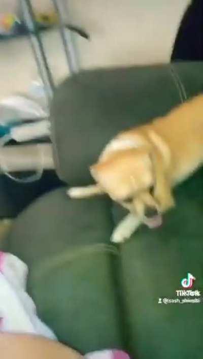 Ayo buddy you want this Cheez it foo?