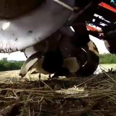 Courage is the willingness to respond fearlessly despite the anxiety and worry.