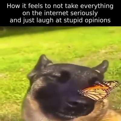 You don't have to argue with everyone you disagree with