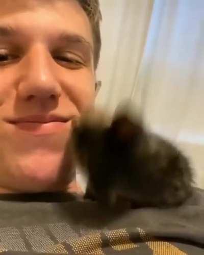 Couldn't Be More Adorable.