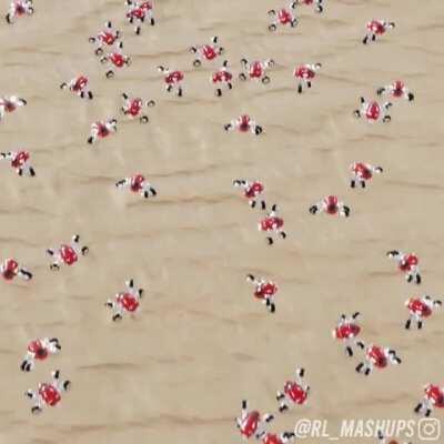 It is once again friday my dudes