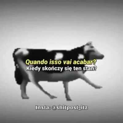 Veja imediatamente a tradução dessa obra de arte