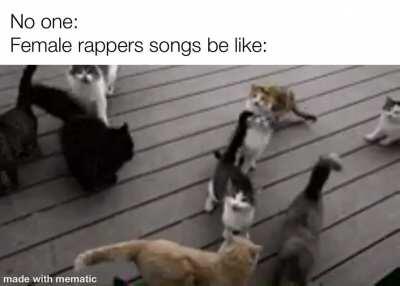 Lots of pussies includedPuss