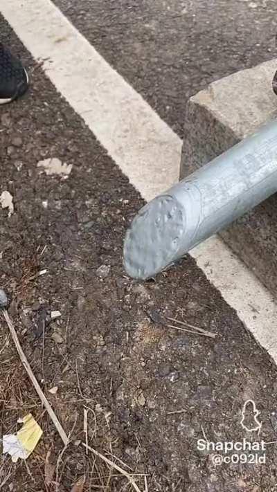 What is this reality