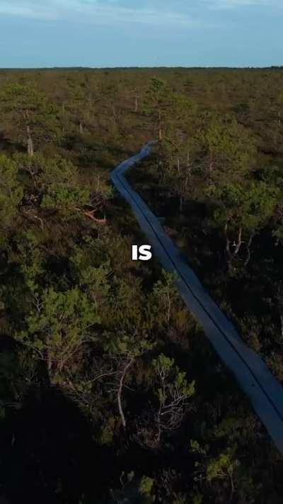 The dangers of American food