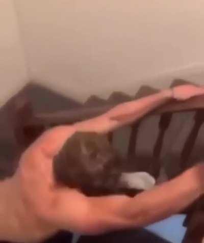 Let me just take this shortcut