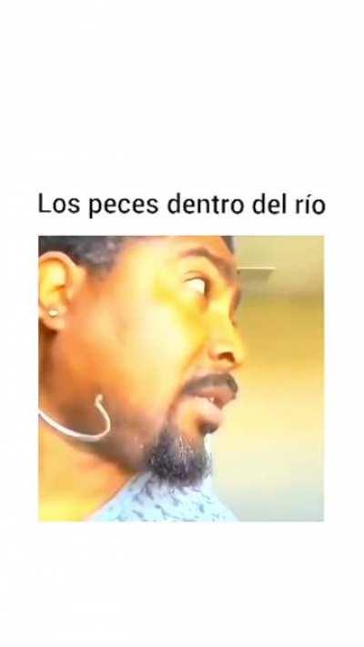 Los peces dentro del rio