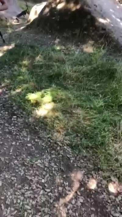 Jumping with your bike and not wearing a helmet