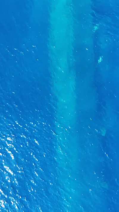 MS Ledenik,off the coast of Sestrunj Croatia.