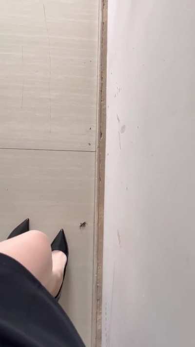 No Bugs can Escape from my Killer Heels