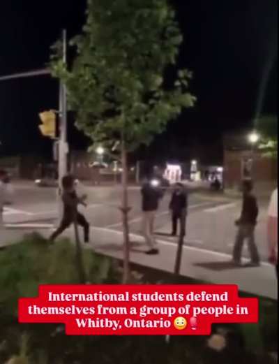 Punjabi International Students Defend Themselves Against Group in Whitby, Ontario 🇮🇳🇨🇦