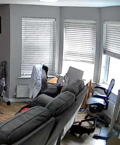 WCGW Cat jumps on a Apple monitor.