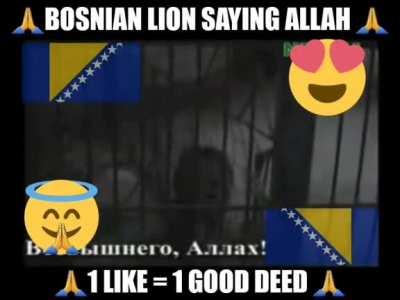 🙏SubhanAllah Elhamdulilah Allahu Akbar 🙏