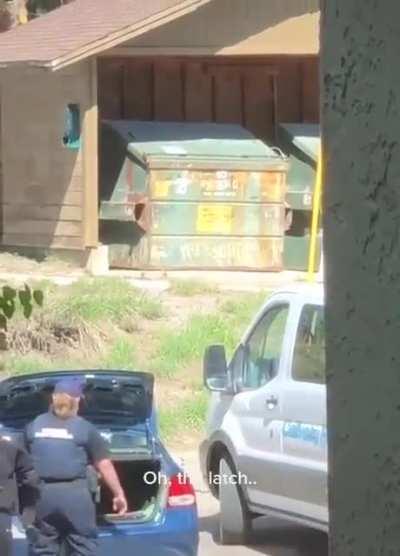 Children and Dogs aren't the only ones at risk in a hot car