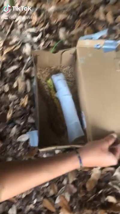 My first attempt at geocaching :(