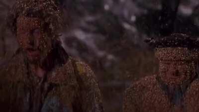 AND THEN THE DOVES ARRIVED!