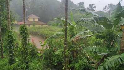 Monsoon rain in India