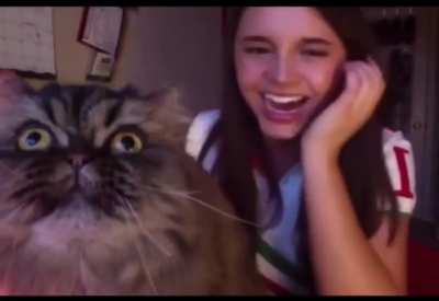 Cat interrupts singer