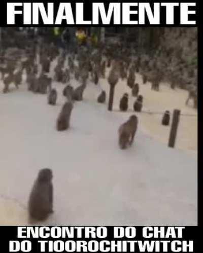 Imagino todos do chat assim