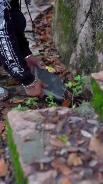 Creating a terrarium out of a abandoned old clay pot