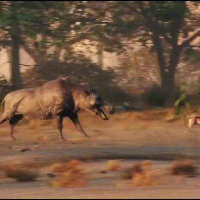 Species profile: Daeodon - by Digital Duck