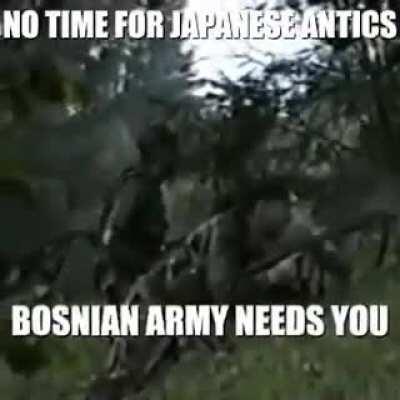 bosnian army