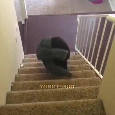 Ayo Momo, pizza is here