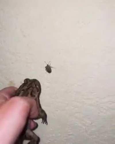 E ovo bi si već nabavio :)