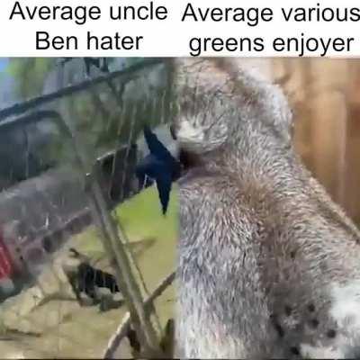Average Uncle Ben hater vs Average various greens enjoyer