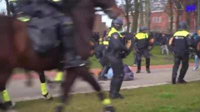 Dutch Winged Hussars (geen politieke statement in welke vorm dan ook)