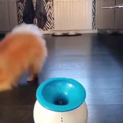 He is doing a very tiring