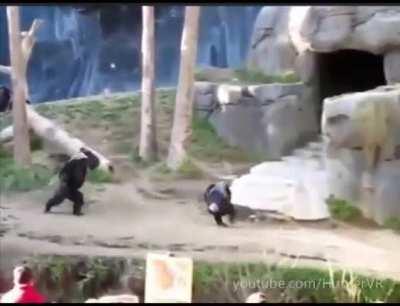 Monke is strong force user