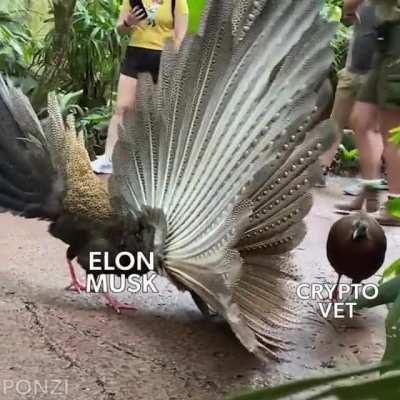 The stupid guy with no friends but a lot of money