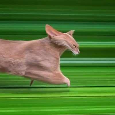 When the LSD kicks in