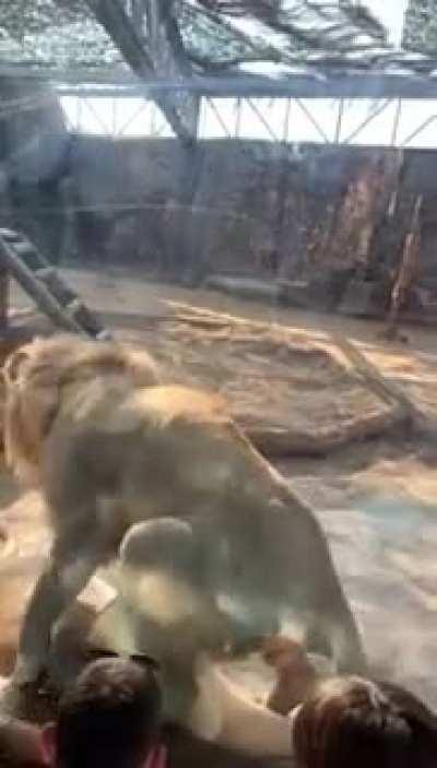 Doc , she’s chocking