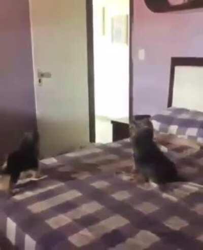 Finally, time for some fun!