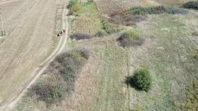 Tigani La Furat Pe Drumul Expres Craiova Pitesti DX12 Tronson 2 Lot1 Barza 11 10 2020