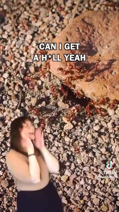 why Mark is afraid of the ocean