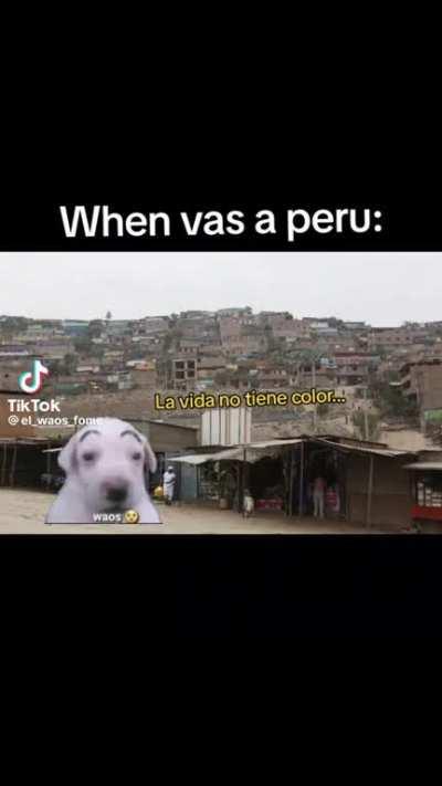 Que dijistes de cerru 🤬