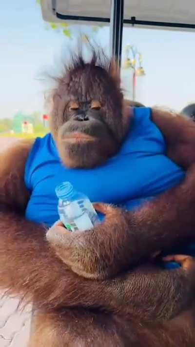 When I’m in a meeting that should have been an email