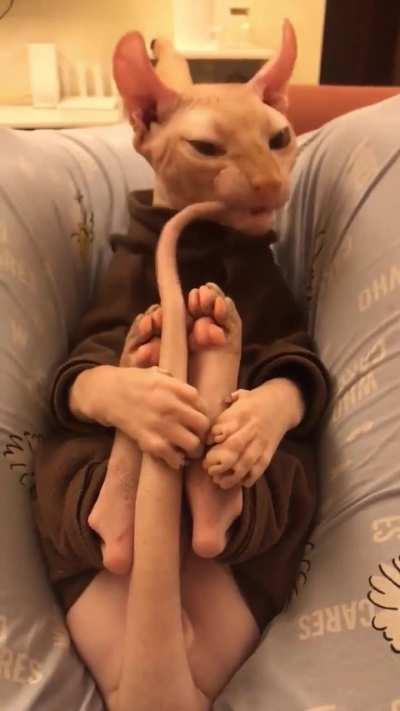 I’d surely chew on my tail if I had one