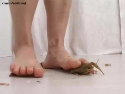 Anya crawfish crush part 2