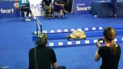 Zyada kuch nahi, story went true