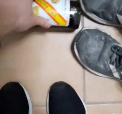 Vino franquista 😈